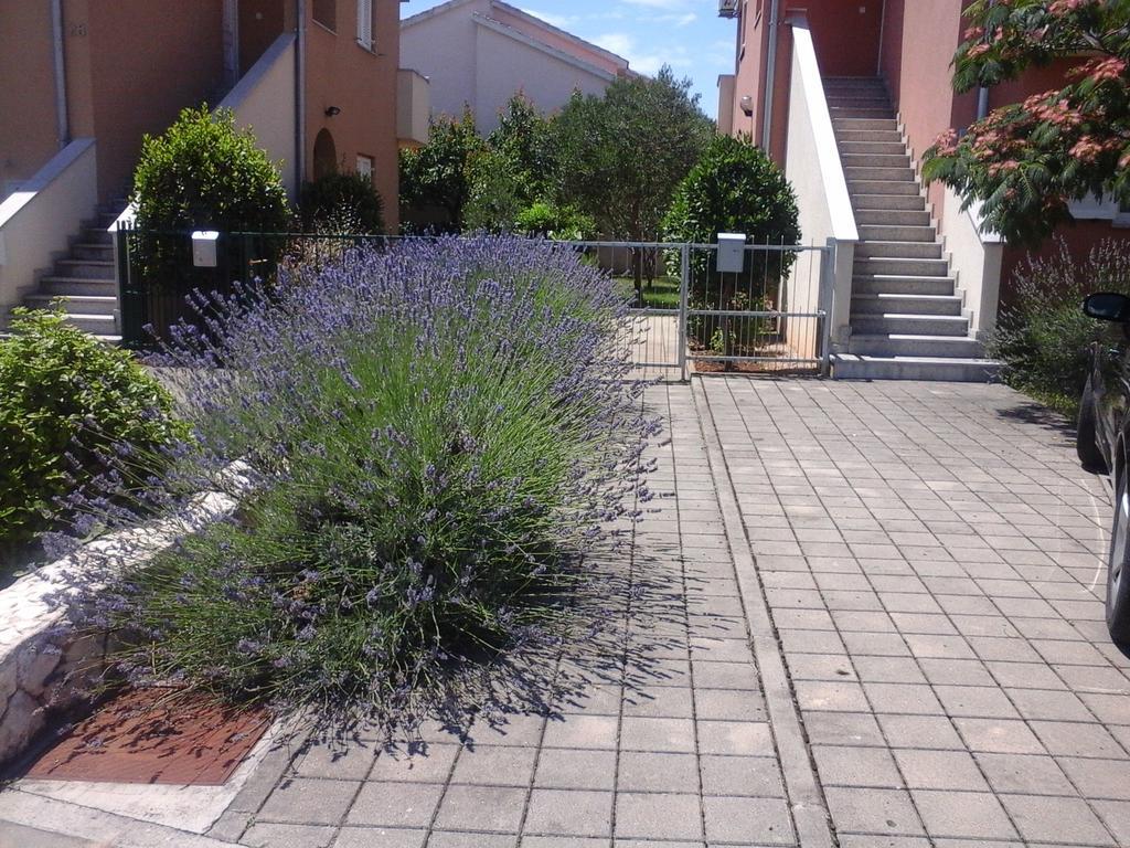 Apartments Danica Vodice Dış mekan fotoğraf